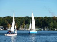 5te-Clubregatta 2013 64